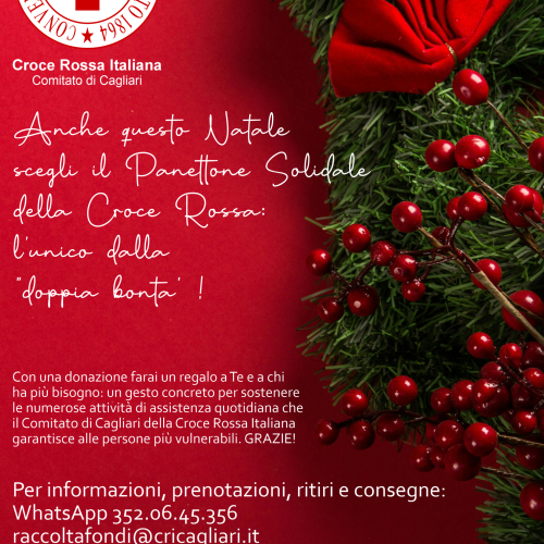 Panettone Solidale